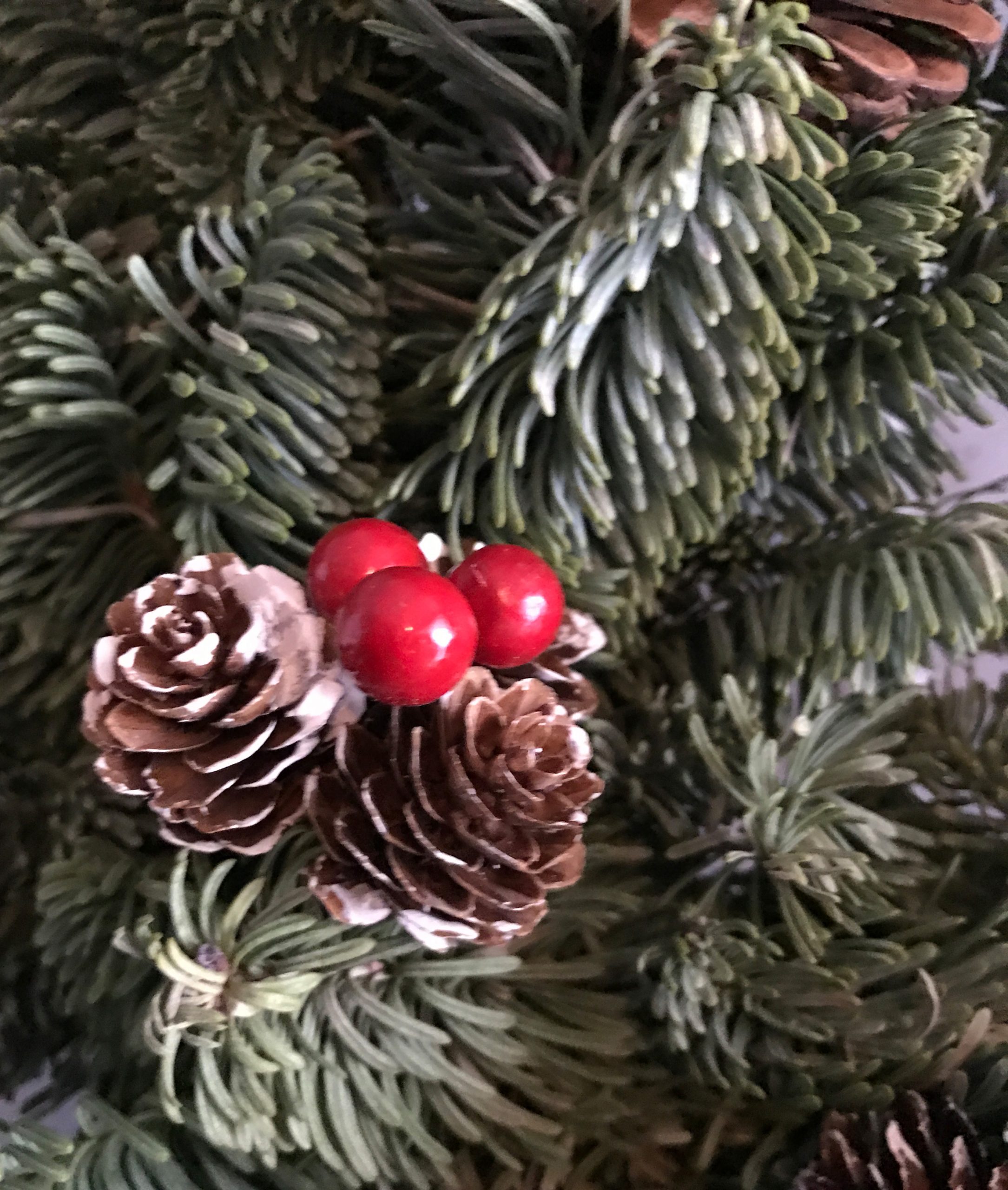 tc-holiday-tree-12222025