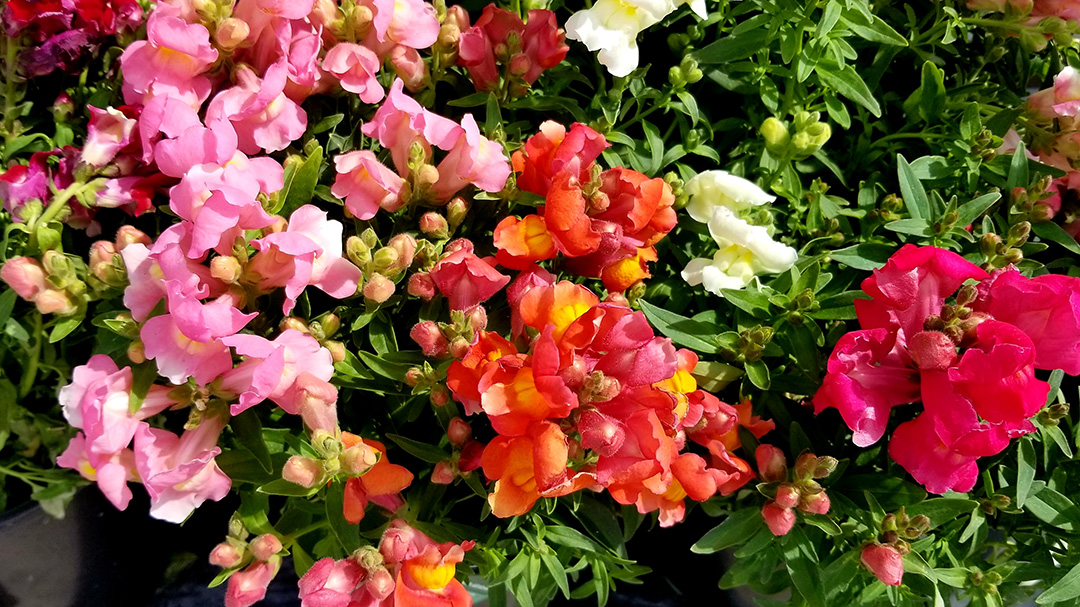 tc-july-blog-featured-07202026jpg